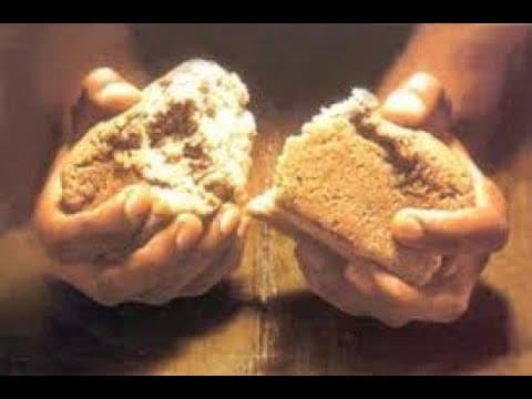 Em busca de uma vida equilibrada | John Bernardi