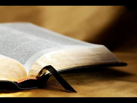 Turno devocional 09/02/2025